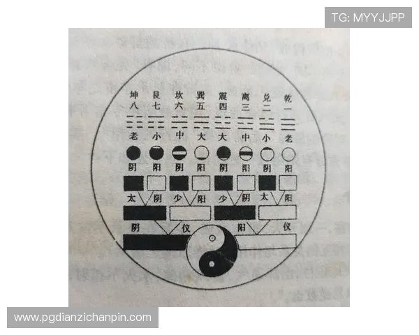 便捷的麻将胡了模拟器在线操作指南,帮助新手快速上手掌握胡牌技巧提升游戏体验